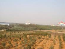 首页- 人生就是博中国官网入口