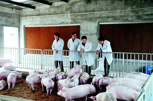 首页- 人生就是博中国官网入口