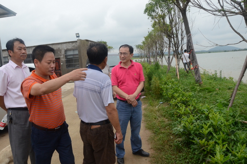 首页- 人生就是博中国官网入口